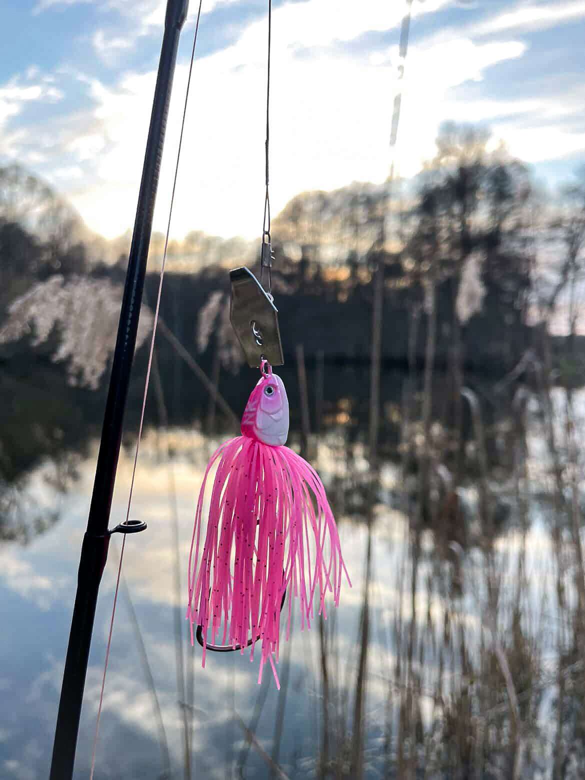 Der magische Allrounder: Warum der CHBT Predator in CHBT 06 immer fängt