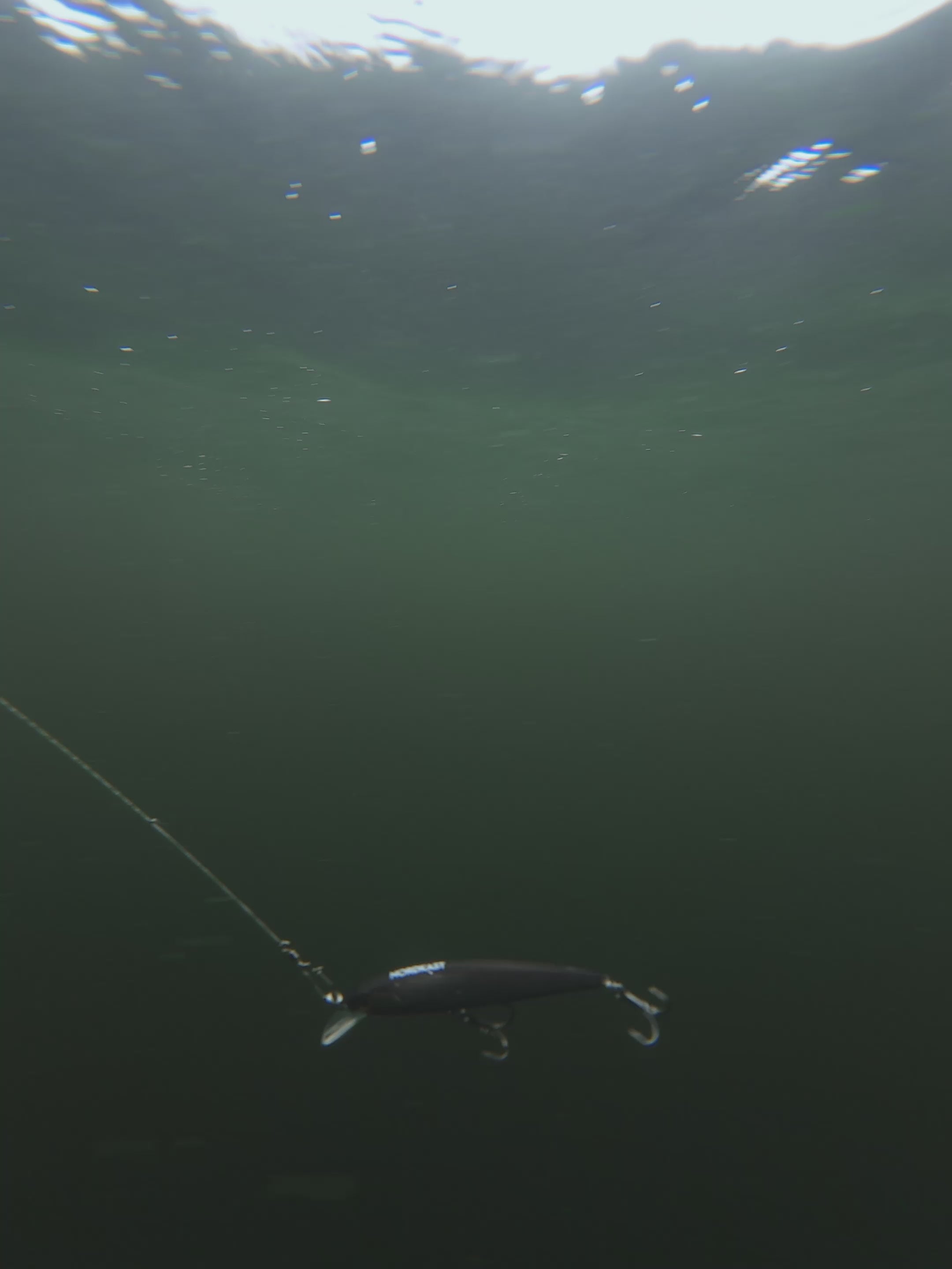 TRX SHALLOW 100 FL beim gleichmäßigen Einholen