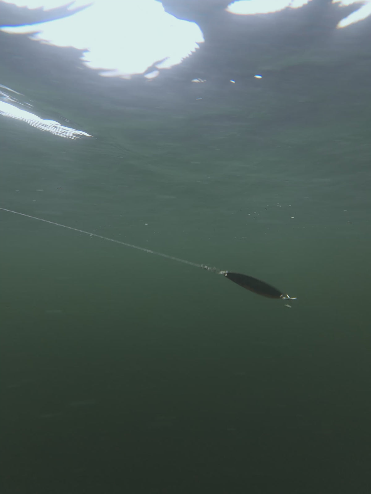 SPOONX beim Spinnfischen im See