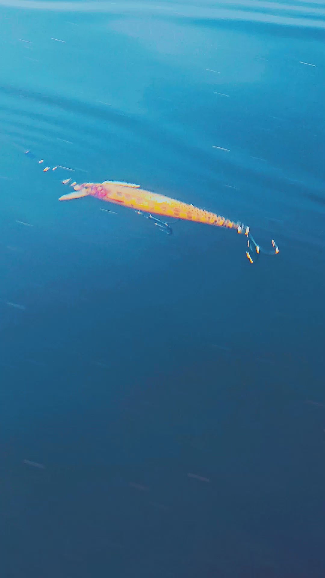 NORDKAST TRX PRECISION FL